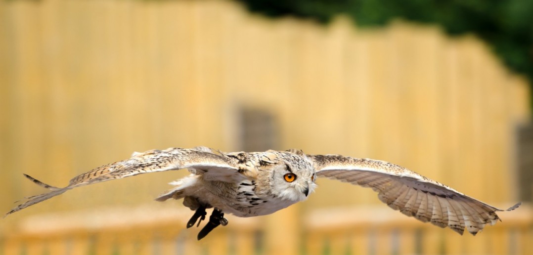 7. Ausflug in den Wildpark Kirchhundem