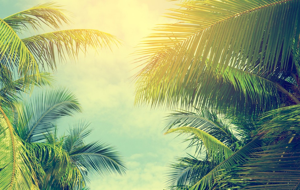 Thailand-Reisezeit "Sommer": Temperaturen jenseits der 40° sind nicht jedermanns Sache. Doch wer es liebt, wird den Sommerurlaub in Thailand nicht vergessen. (#1)