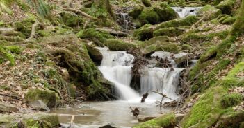 Wandern im Odenwald: 3 kindergerechte Touren