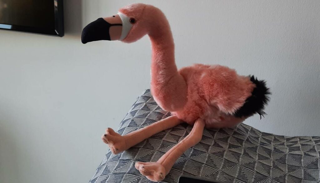 Der Flamingo "Ottilie". Der pinke Zeitgenosse hat sich bei mir bereits eingenistet!
