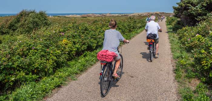 Radfahren auf Sylt: Die besten Tipps für Urlaubsradler ( Foto: Shutterstock - Animaflora PicsStock )