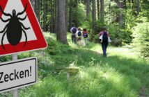 Zeckenschutz im Wanderurlaub – Tipps für den bestmöglichen Schutz. (Foto: AdobeStock - 206268037 Heiko Barth)
