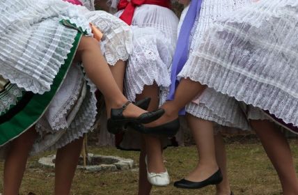 Brandenburg verankert Karneval, Fastnacht, Fasching im Landesverzeichnis immateriellen (Foto: AdobeStock - Vladimir Wrangel - 88664345)
