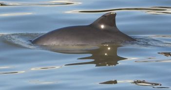 Wilhelmshaven lädt im Frühjahr 2026 zu zehn unvergesslichen (Foto: TOURISMUS-AGENTUR NORDSEE GMBH)