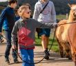 Digitale Themenwanderwege im Schwarzwald verbinden Technik, Wissen und (Foto: Hochschwarzwald Tourismus GmbH)
