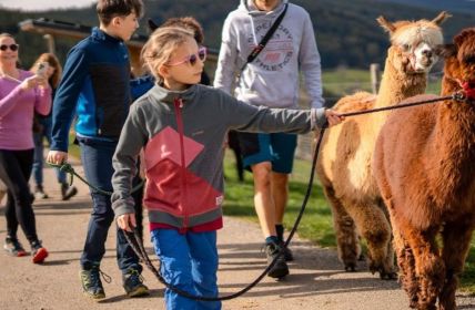 Digitale Themenwanderwege im Schwarzwald verbinden Technik, Wissen und (Foto: Hochschwarzwald Tourismus GmbH)