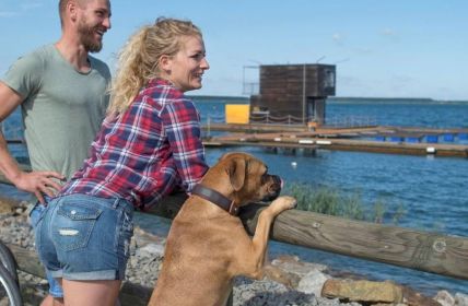 Hundefreundliches Lausitzer Seenland bietet Strand, Kultur und familiengerechten (Foto: Tourismusverband Lausitzer Seenland, Nada Quenzel)