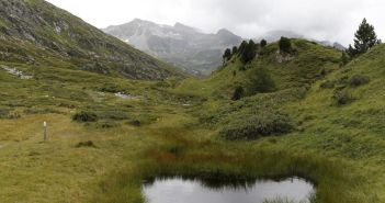 Goldene Wälder erleben und regionale Traditionen im herbstlichen (Foto: Ticino Turismo)